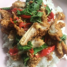 ไก่กรอบ ผัดกระเพรา ไข่ดาว