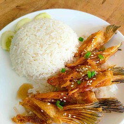 แซลมอนทอดราดซอสน้ำปลา