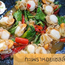 กะเพราหอยเชลล์ กับข้าว.