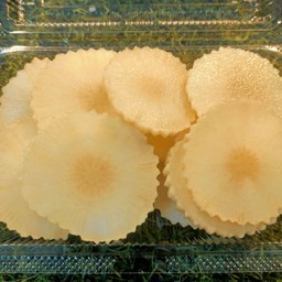 บัวหิมะ ทิเบต