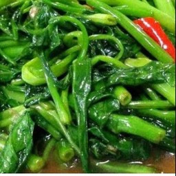 ผัดผักบุ้งไฟแดงราดข้าว