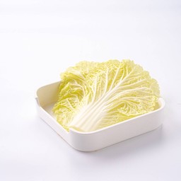 ผักกาดขาว