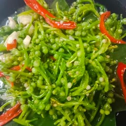 ผัดผักปลัง น้ำมันหอย