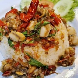ข้าวกะเพราหอยเชลล์.
