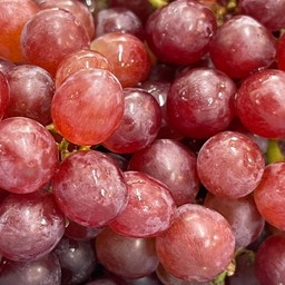 องุ่นแดงไร้เมล็ด