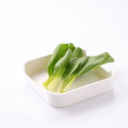 ผักกวางตุ้ง