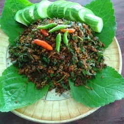 กบระเบิด