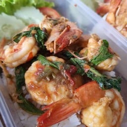 กะเพรากุ้ง กับข้าว.
