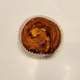 Mini Escargot Orange