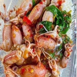 หมึกไข่ผัดกระเพราไข่ดาวราดข้าว