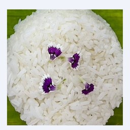 ข้าวสวย-Rice