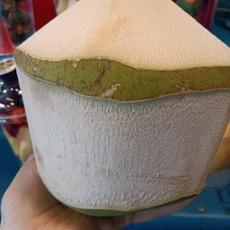 น้ำมะพร้าวปั่น