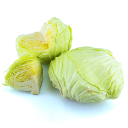 ผักกะหล่ำปลี
