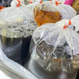 เฉาก๊วย