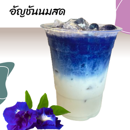 อัญชันนมสด