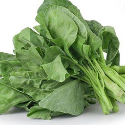 ผักคะน้า