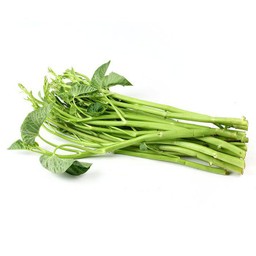 ผักบุ้งเทโพ