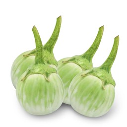 มะเขือขาว