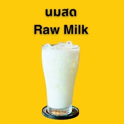 Raw milk นมสด
