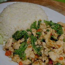 กระเพราไก่ราดข้าว