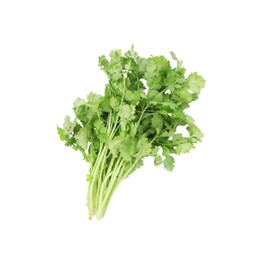 ผักชีไทย