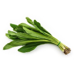 ผักชีใบเลื่อย