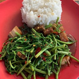 ผัดผักกะเฉด (กับข้าว)