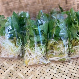 ผักสด