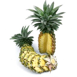 ผลไม้สด Home Fruit 42