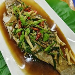 ปลากะพงนึ่งซีอ้ิวXl