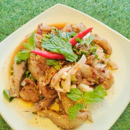 น้ำตกคอหมูย่าง