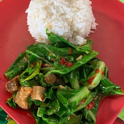 ผัดผักแขนง (กับข้าว)