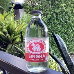 โซดา ตราสิงห์