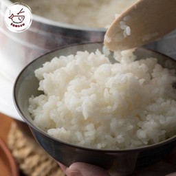 ข้าวญี่ปุ่น