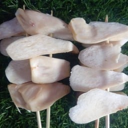 เห็ดโอริจิ