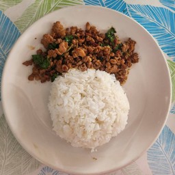 กระเพราหมูสับราดข้าว