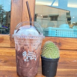 โกโก้นมสด