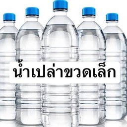 น้ำเปล่าขวดเล็ก 600 ml.