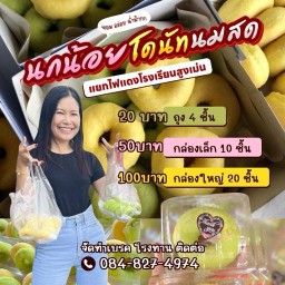 นกน้อยโดนัทนมสด สี่แยกไฟแดงสูงเม่นชนูปถัมธ์