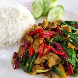 กะเพราหอยลาย