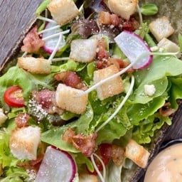 ซีซ่าสลัด