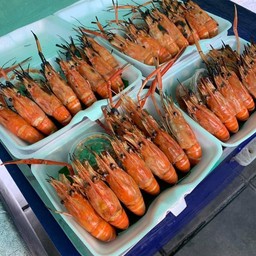 กุ้งเผา🦞🥖ยำลูกชิ้น🍡🍢กุ้งเป็น 🍤กุ้งนึ่ง  น้ำจิ้มซีฟู้ด🦐