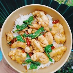 ผัดกะเพราไข่ปลาหมึกราดข้าวไข่ดาว
