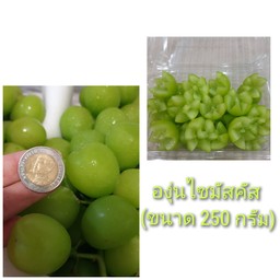 องุ่นไซมัสคัส