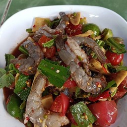 เหลากุ้งสด