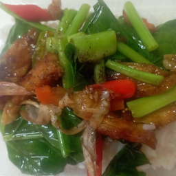 ข้าวคะน้าไก่กรอบ (ไก่-เนื้อ)