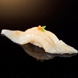 ครีบปลาตาเดียว