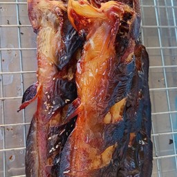 ปลาดุกย่าง