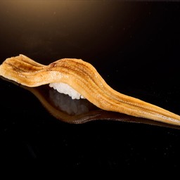 ปลาไหลทะเล