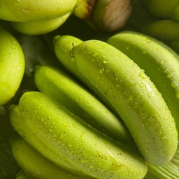 กล้วยหอมทอง ไซต์กลาง